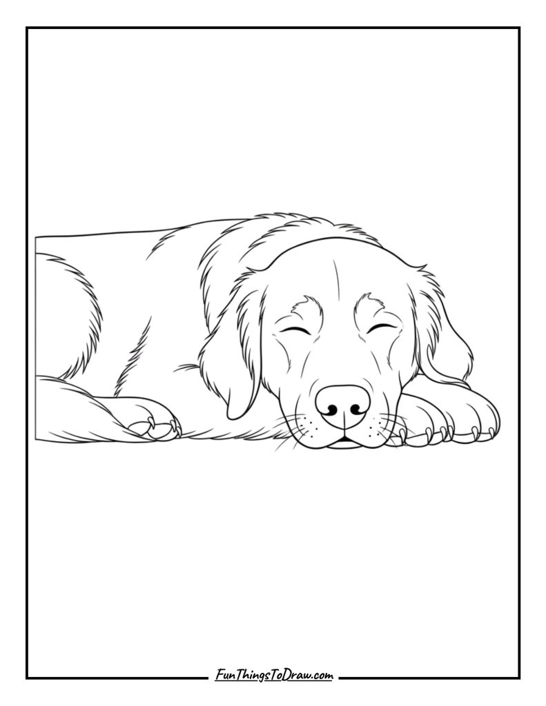 Golden Retriever Sleeping Peacefully