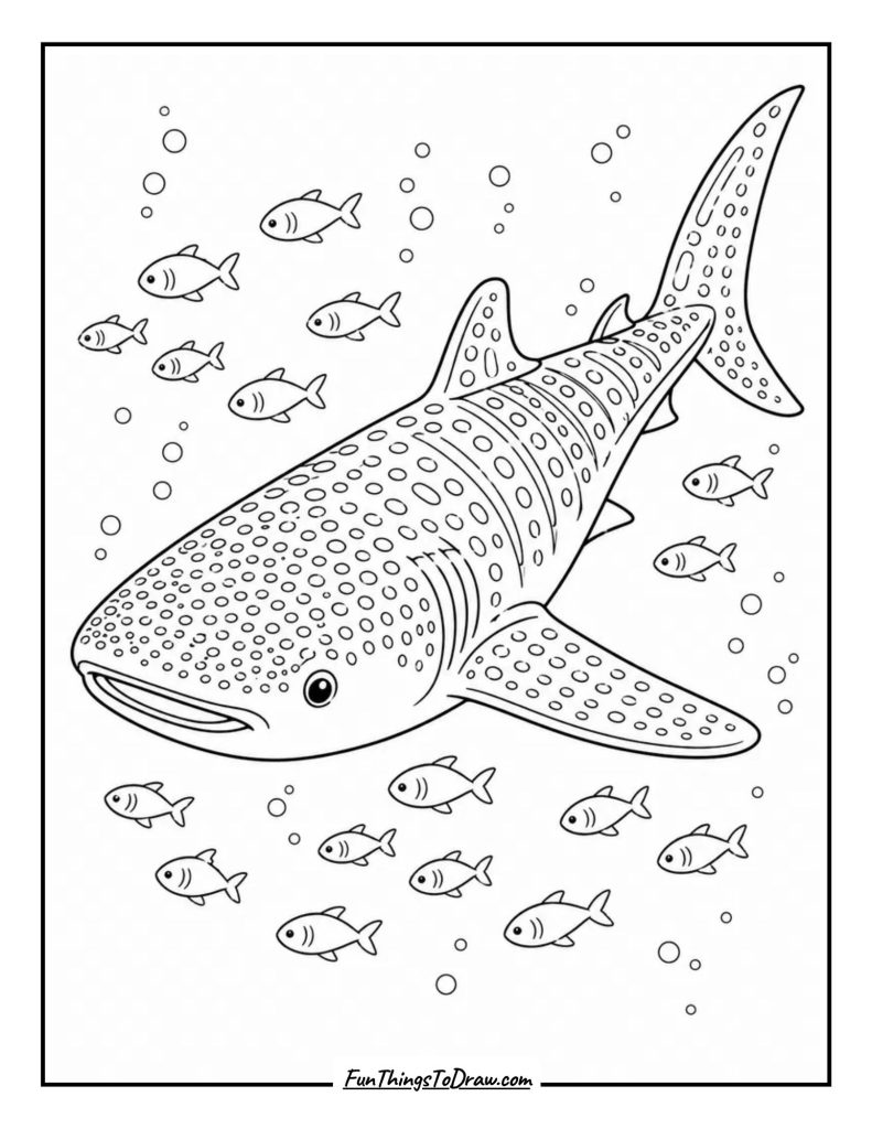 Majestic Whale Shark with Tiny Fish