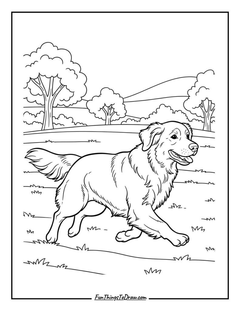 Golden Retriever Running in a Park Coloring Sheet