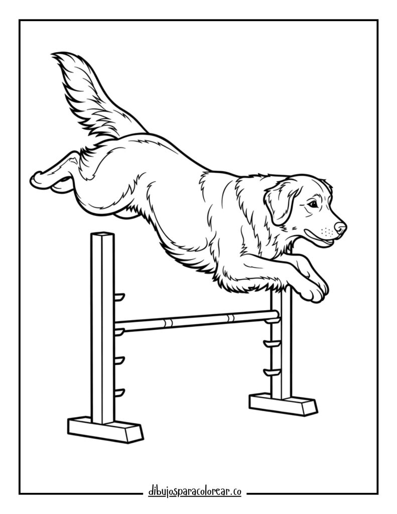 Golden Retriever Jumping Over a Hurdle
