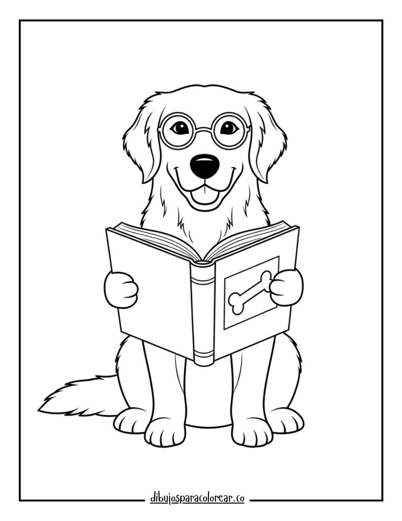 Golden Retriever Wearing Glasses and Reading