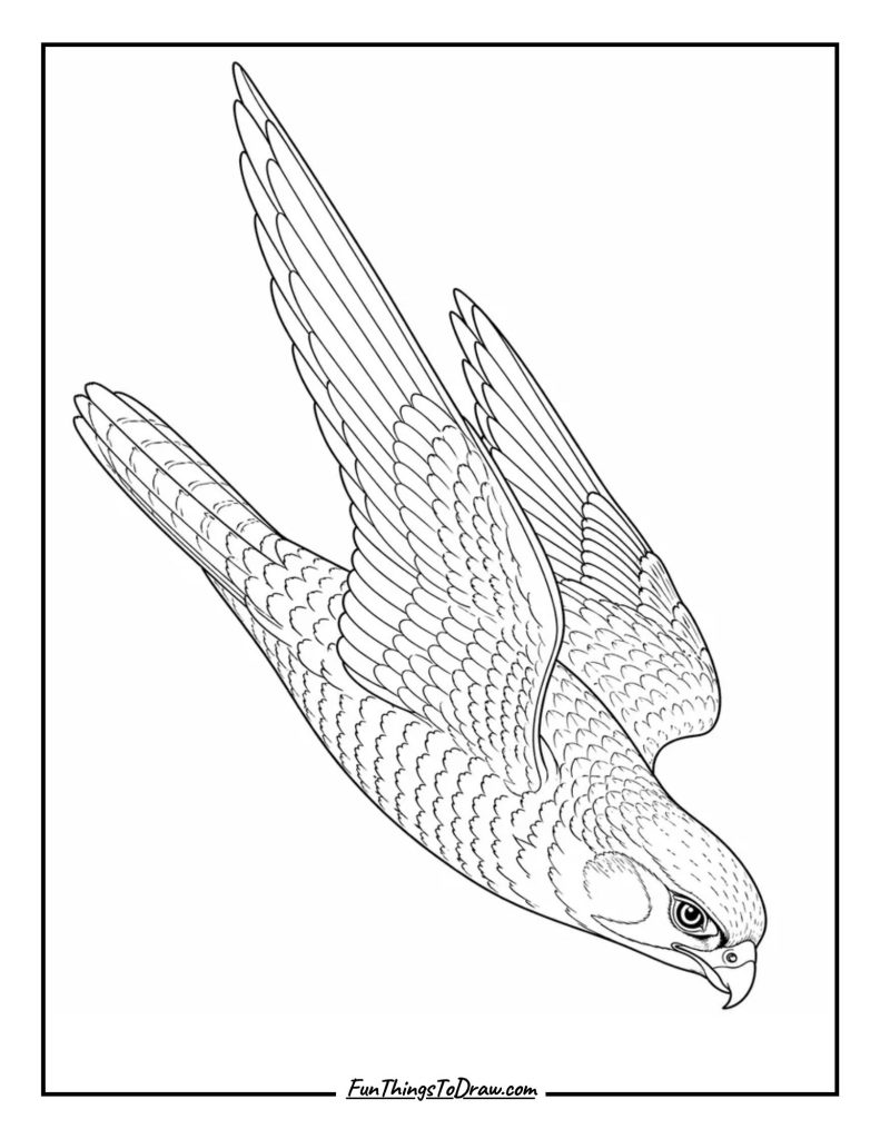 Falcon coloring page