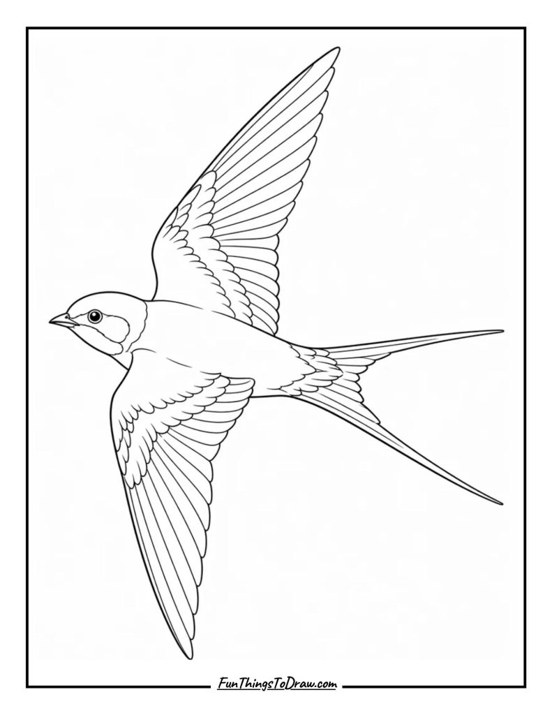 Swift coloring page