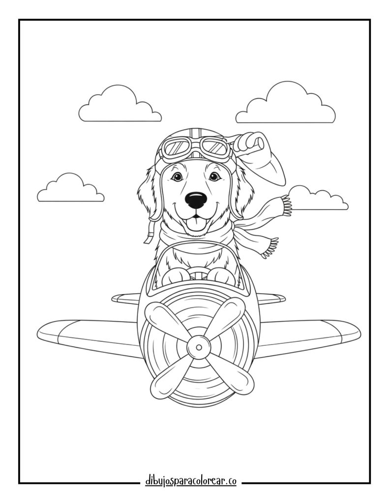 Golden Retriever as a Pilot