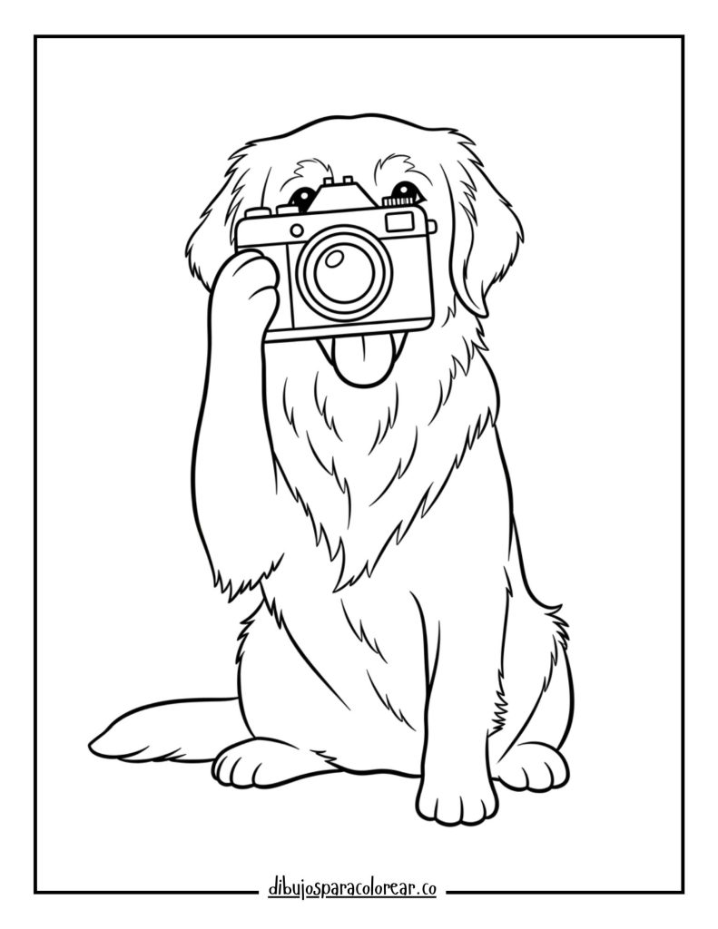 Golden Retriever with a Camera