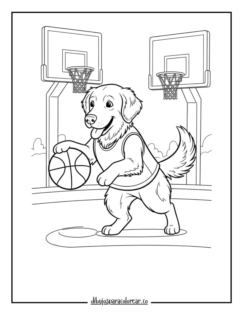 Golden Retriever Playing Basketball