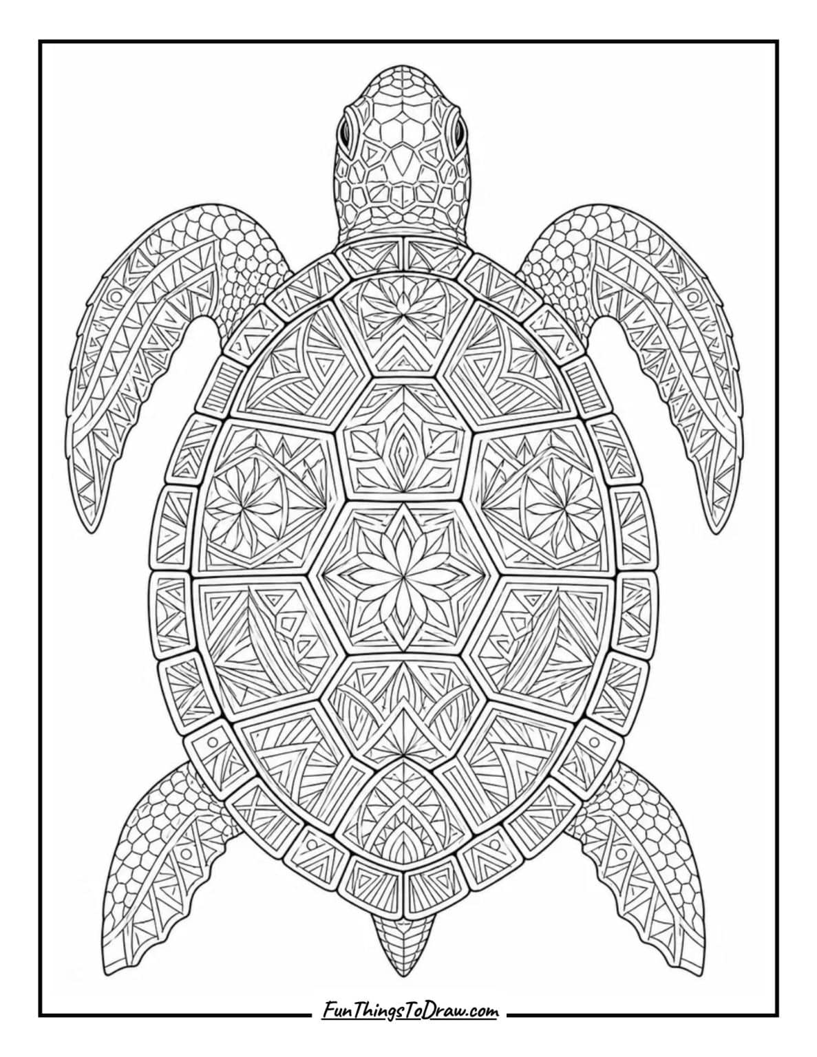 Turtle Pattern Coloring 37 Turtle Coloring Pages for Adults - Fun Things To Draw