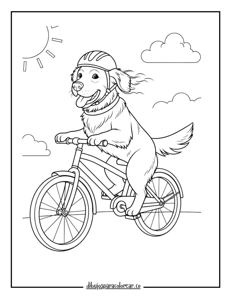 Golden Retriever Riding a Bicycle