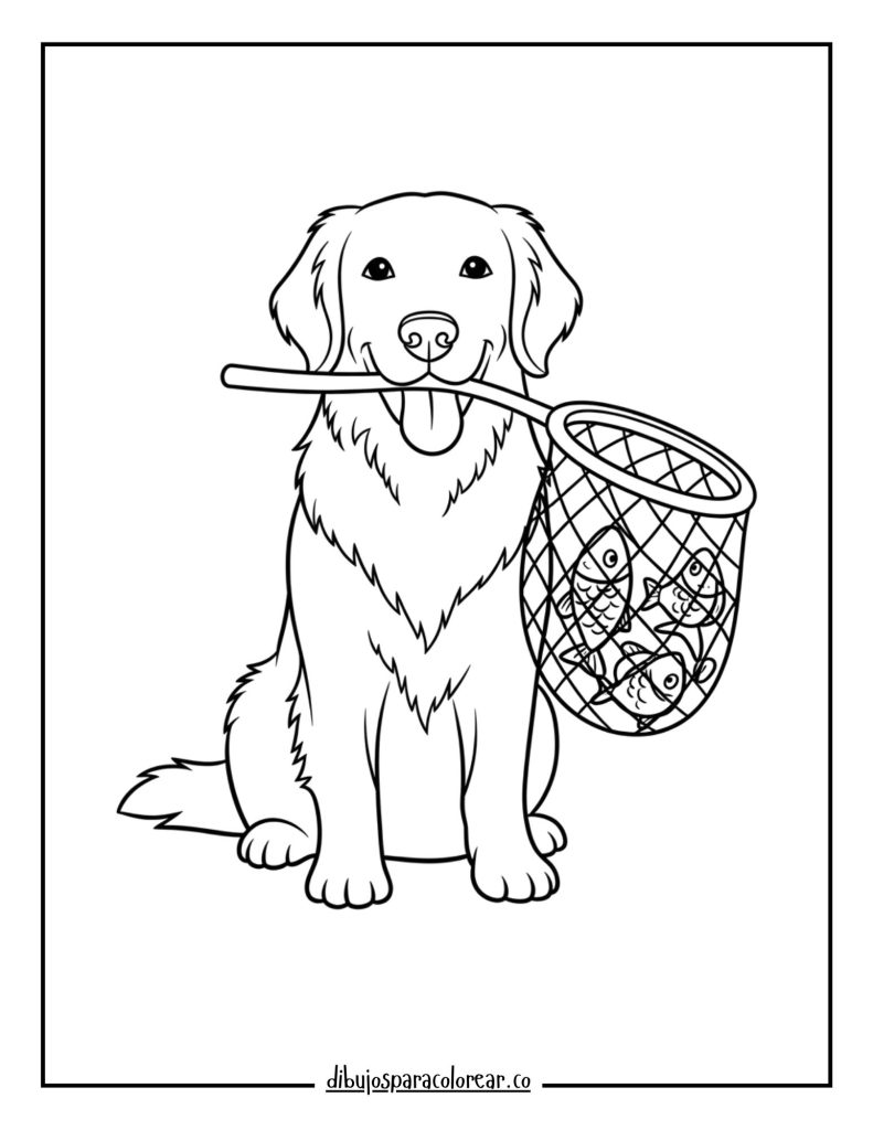 Golden Retriever with a Fishing Net