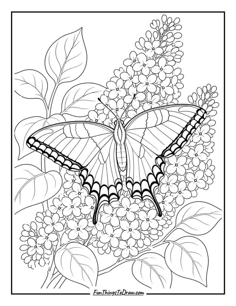 Eastern Tiger Swallowtail on Lilacs