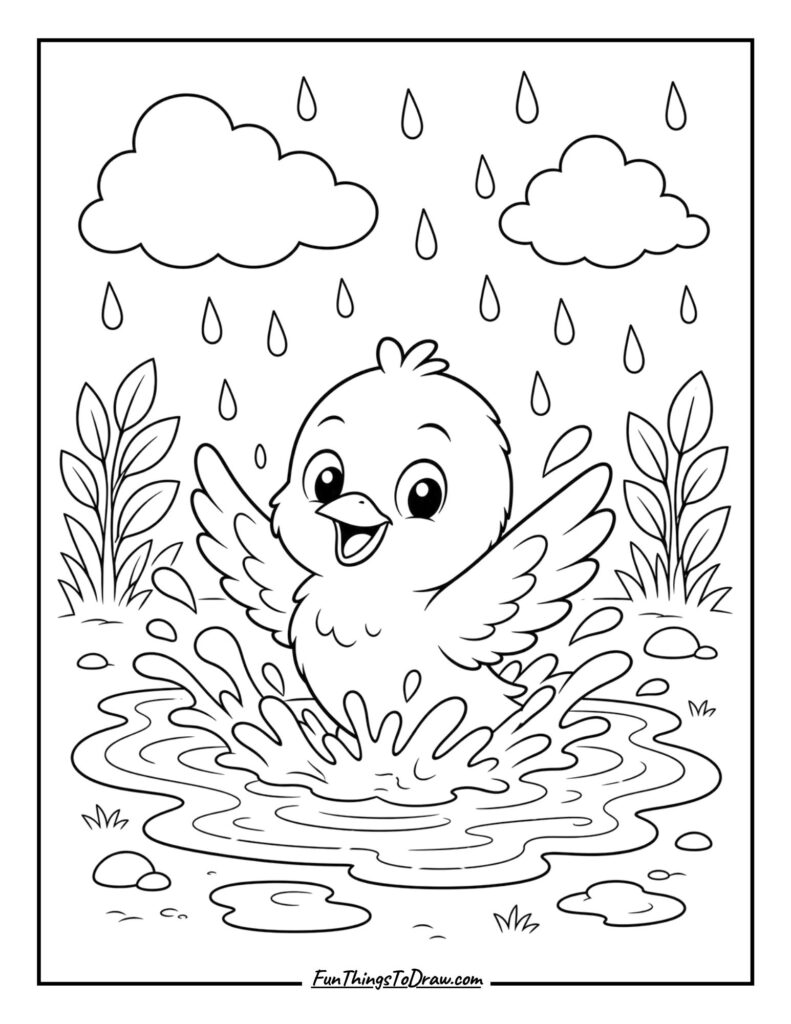 Little Bird's Bath