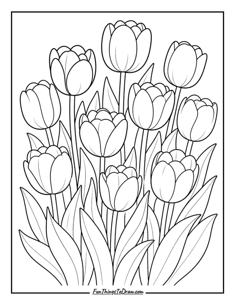 tulip patch coloring page
