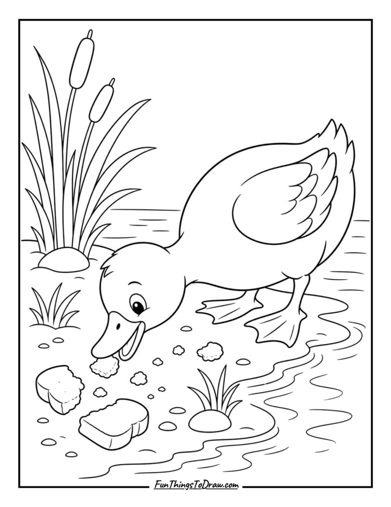 Duck Eating Bread