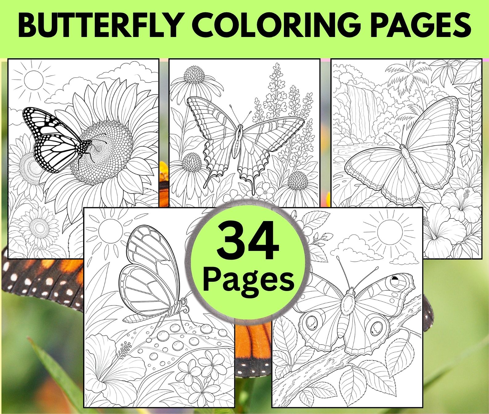 Butterfly Coloring Pages for Adults