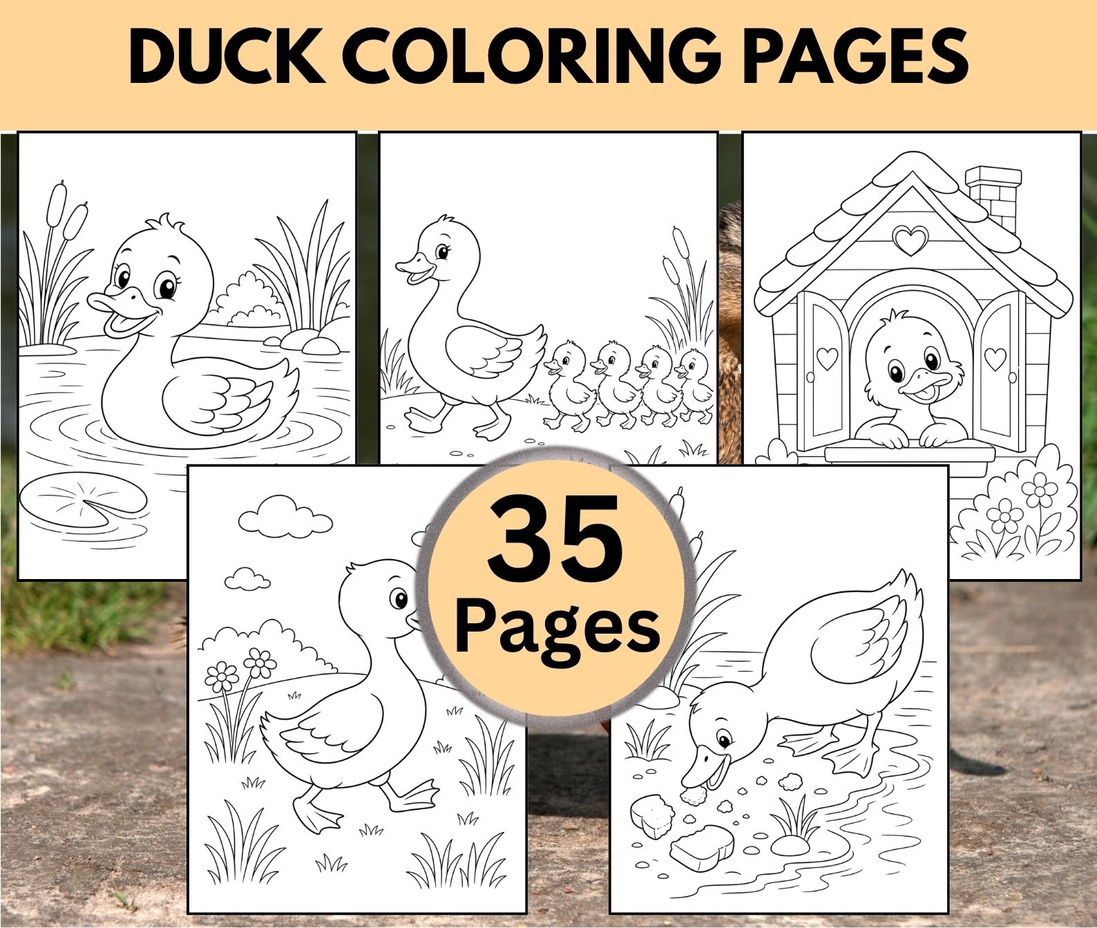 Duck Coloring Pages Free printable