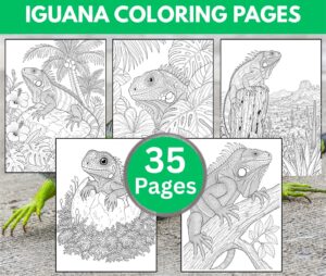 Iguana Coloring Pages for Adults