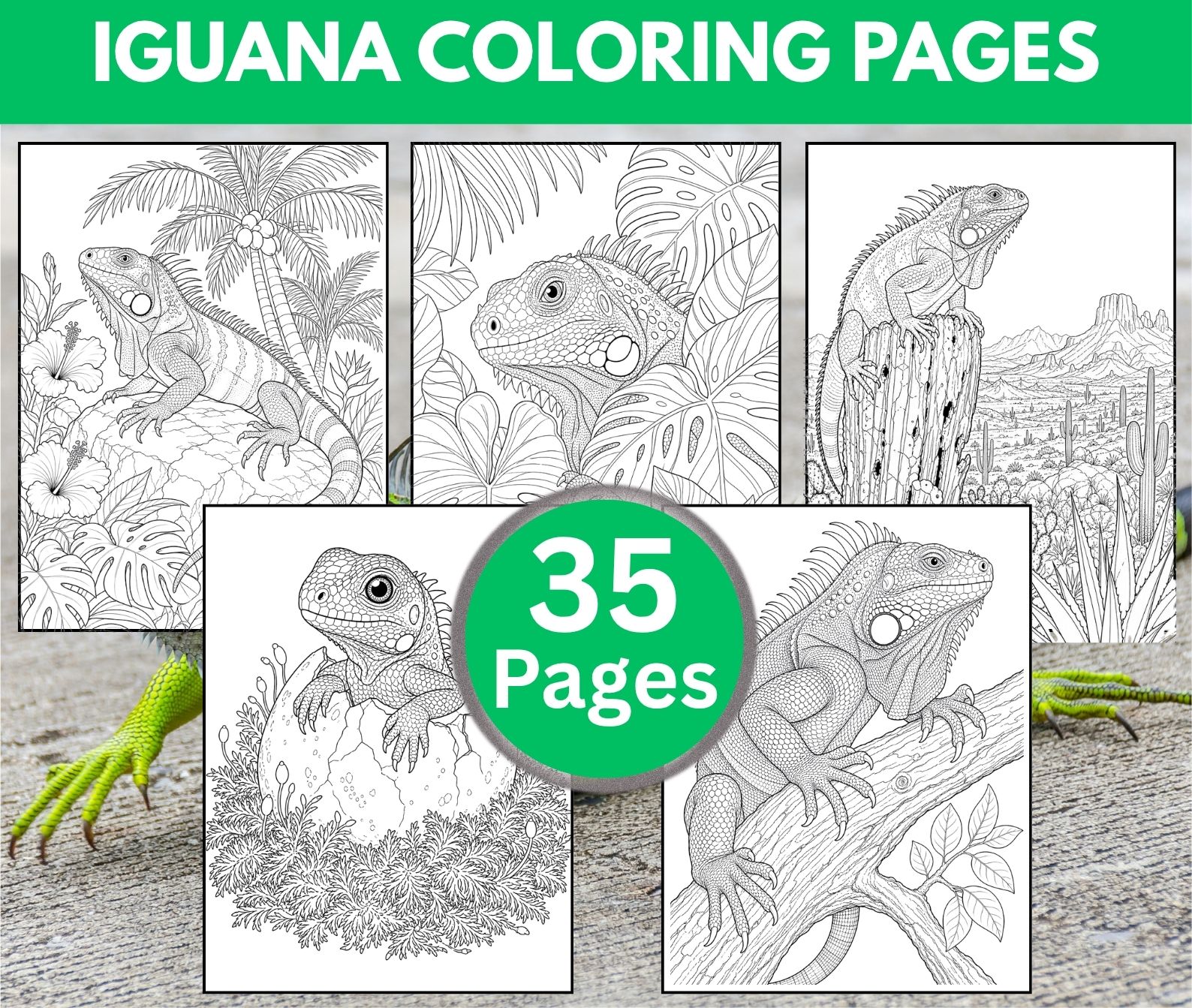 Iguana Coloring Pages for Adults