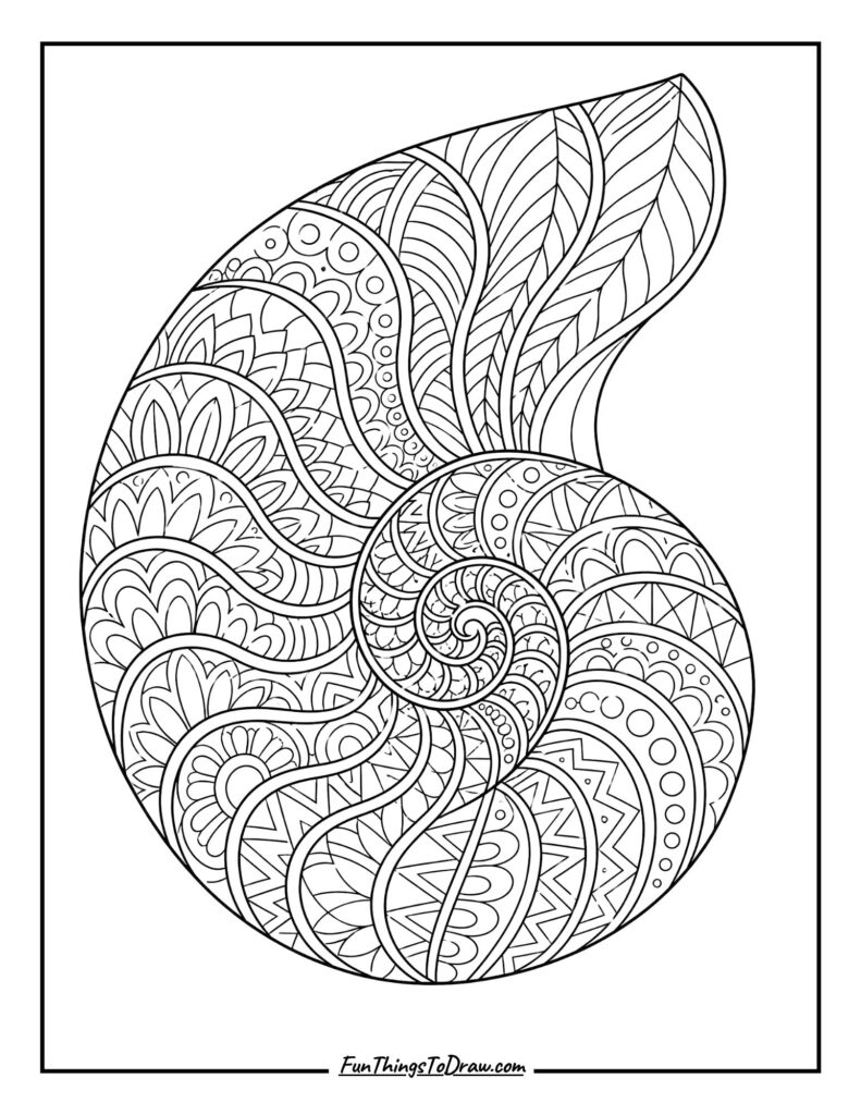 Intricate Nautilus Shell coloring page