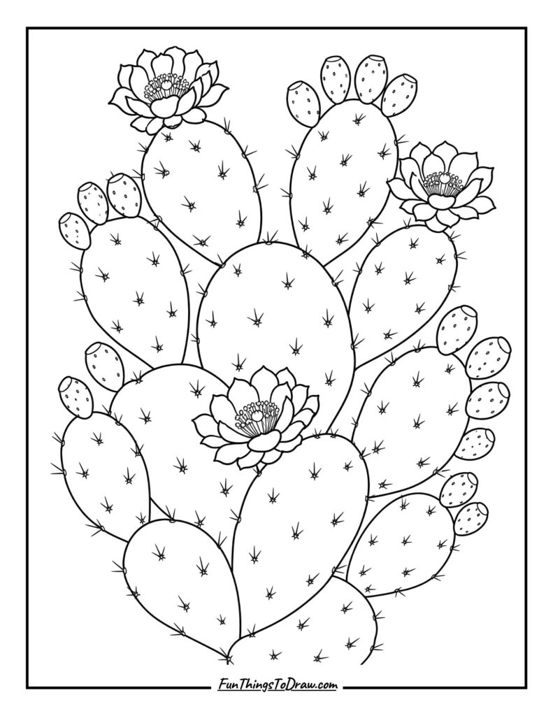 Opuntia Prickly Pear