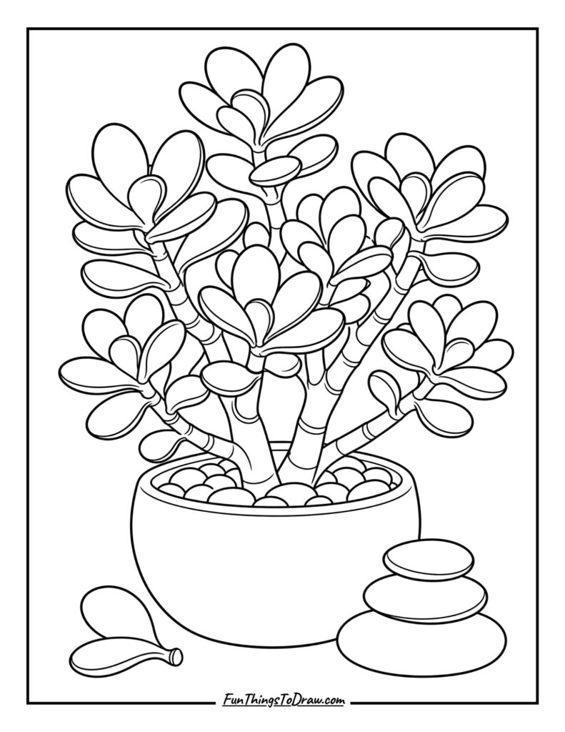 Crassula 'Jade Plant' Zen Coloring Page