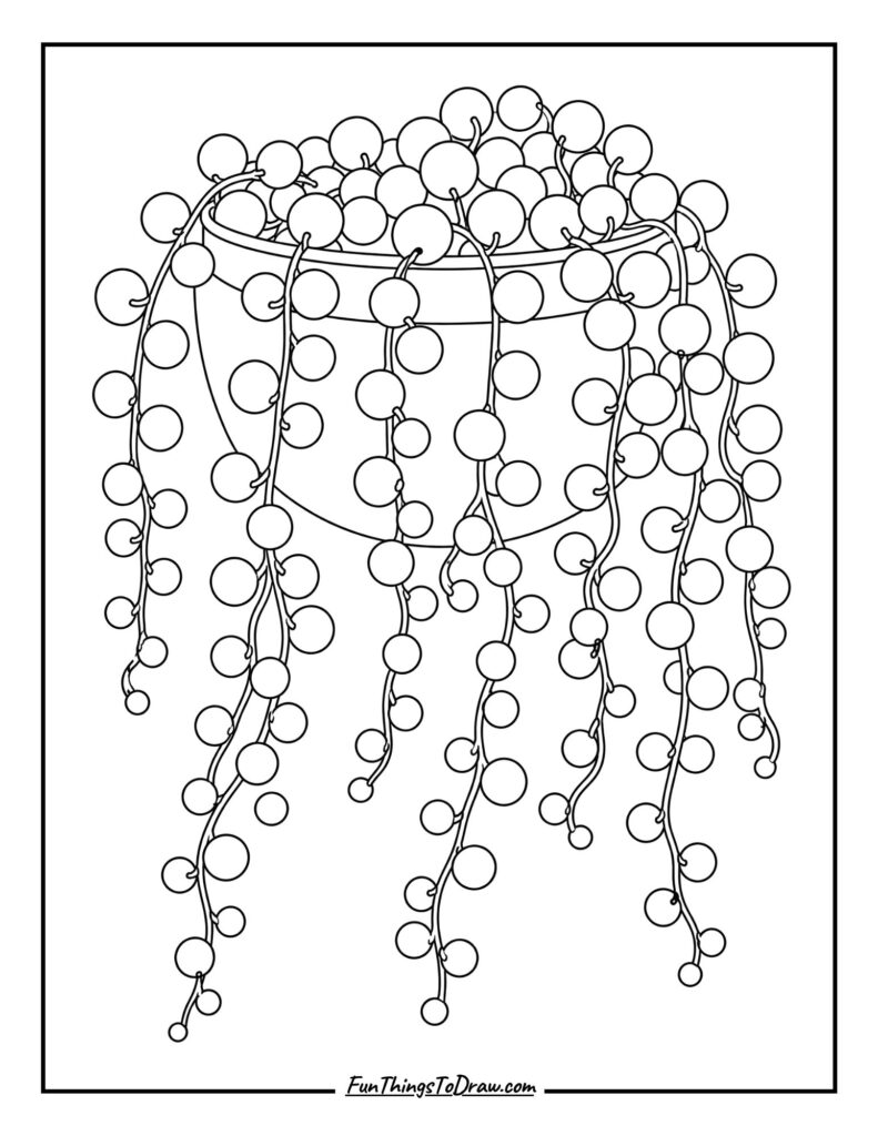 String of Pearls Trailing