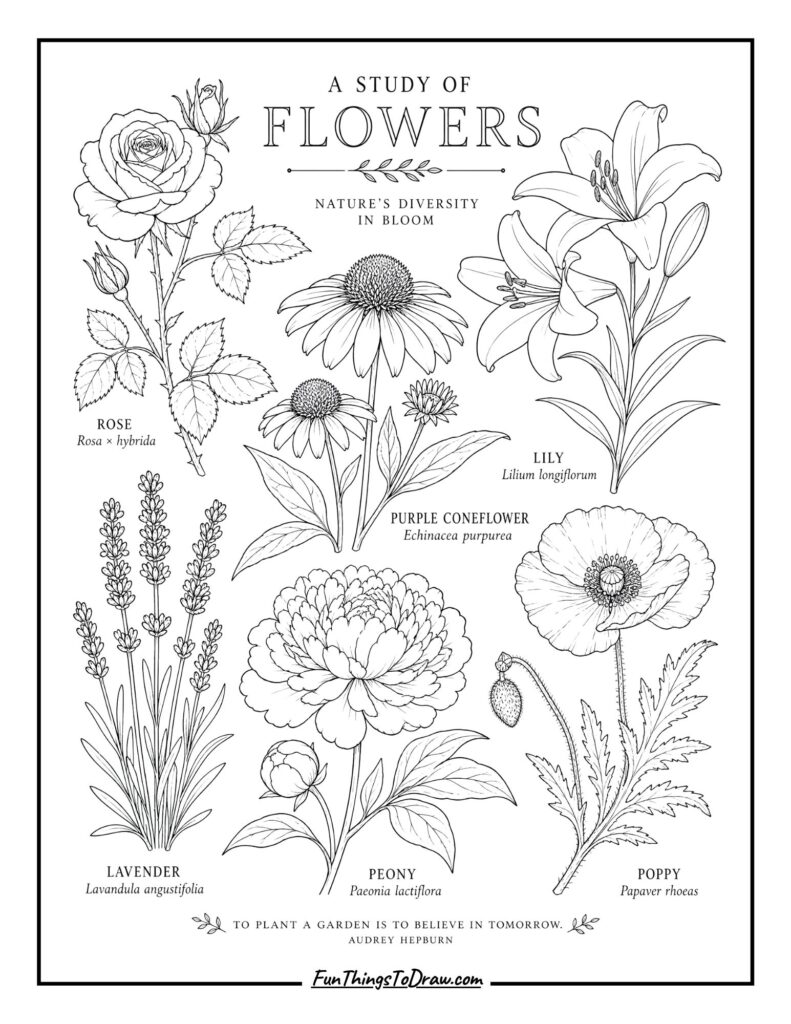 Vintage Botanical Study