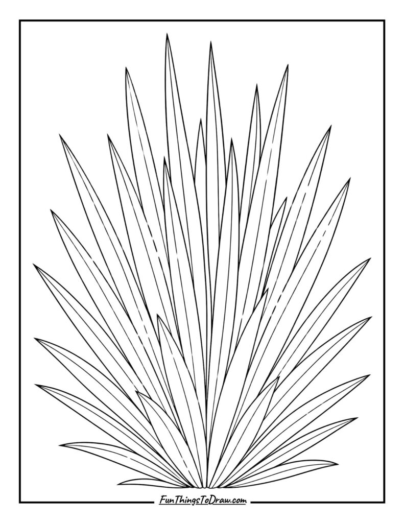 Yucca Architectural Form