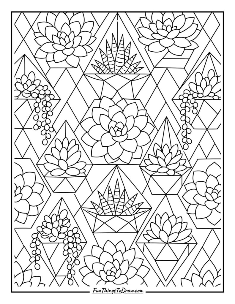 Succulent Geometric Pattern coloring page