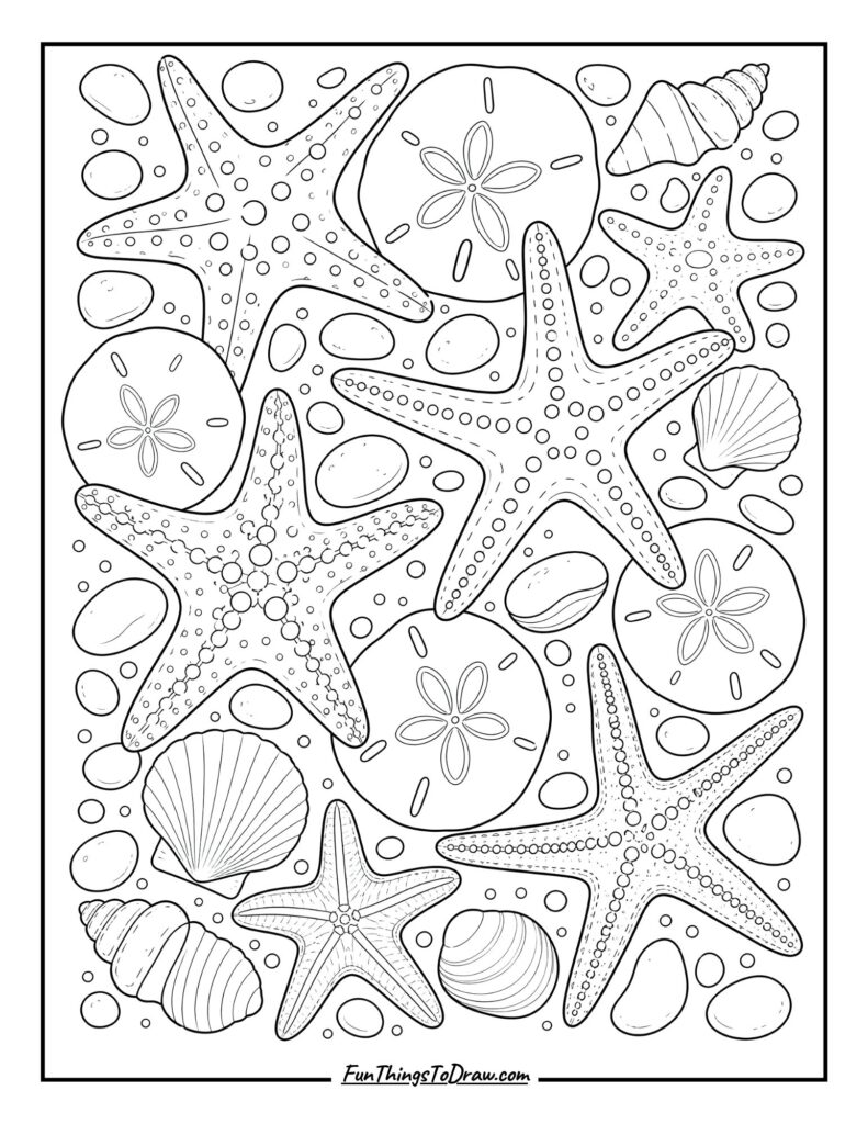 Starfish and Sand Dollar Medley