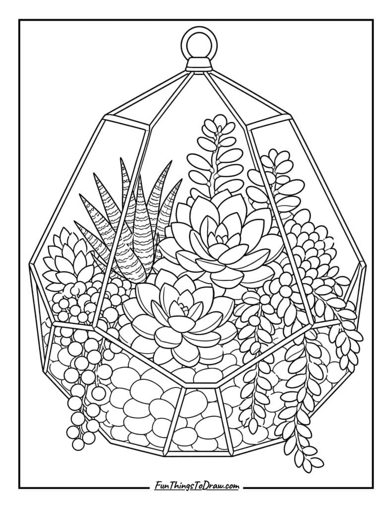 Succulent Terrarium Dream coloring page