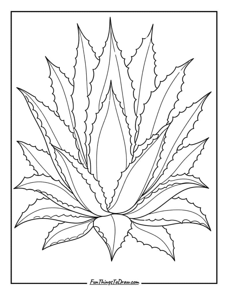 Agave Grandeur coloring page