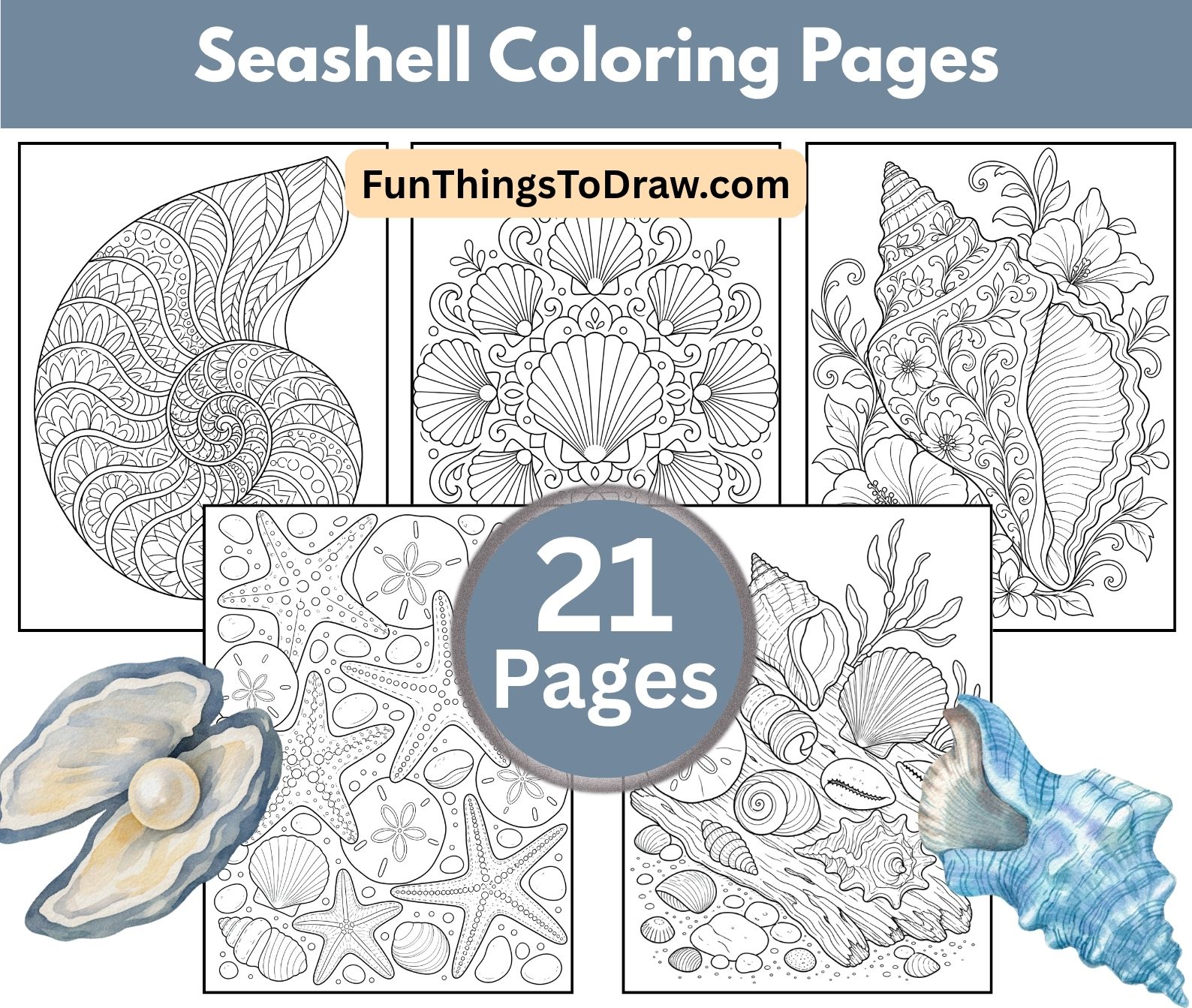 Seashell Coloring Pages for Adults for Adults