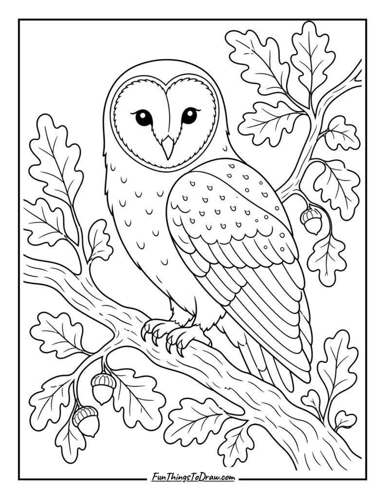 Barn Owl with Autumn Leaves coloring page