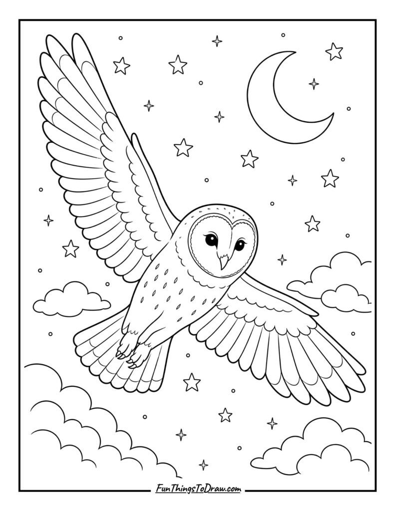 Barn Owl in a Starry Night Coloring Page