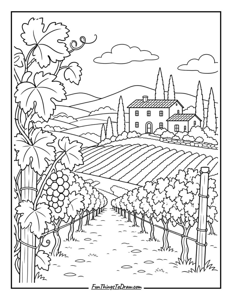 Tuscan Vineyard Vista coloring page