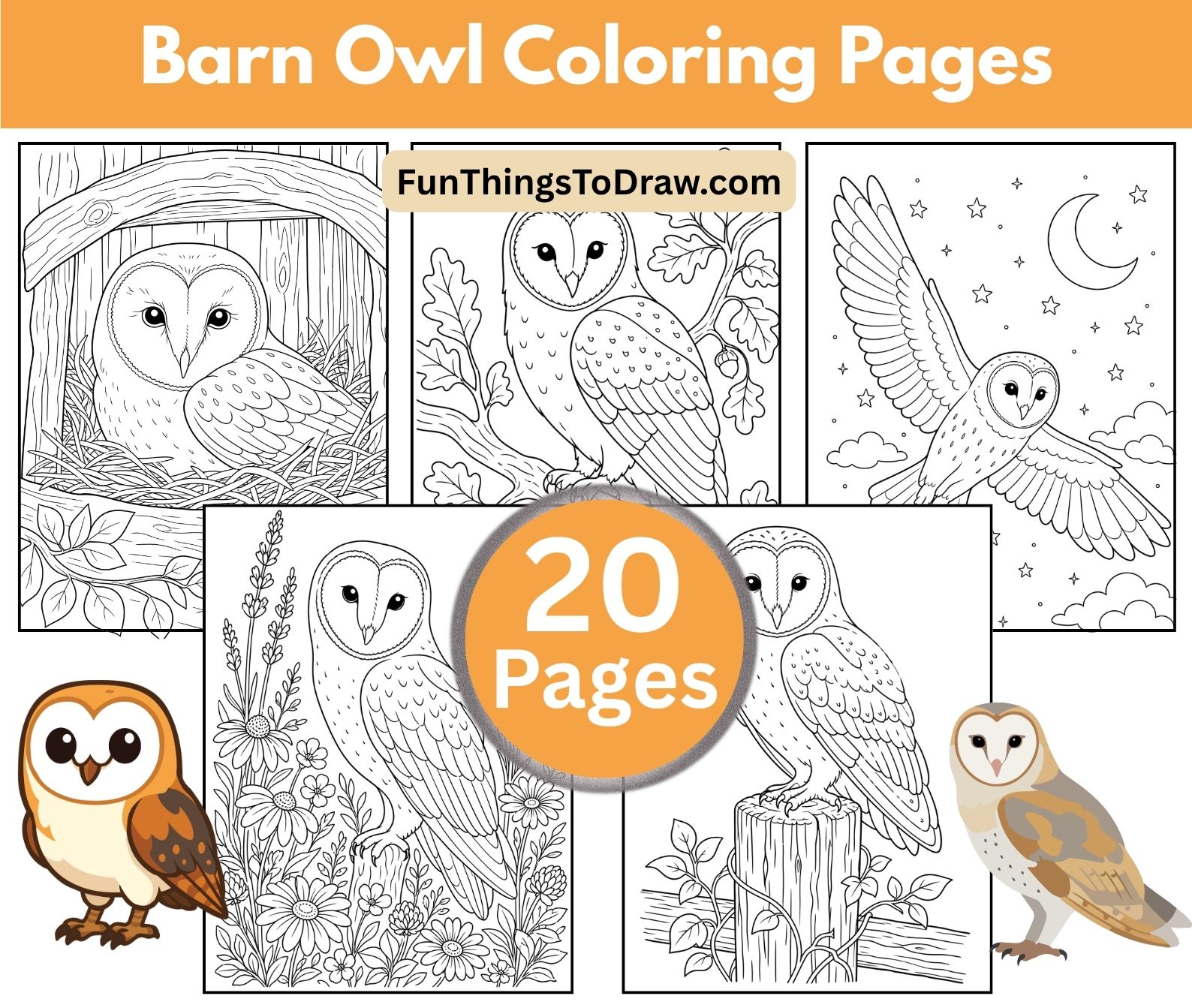 Barn Owl Coloring Pages for Adults