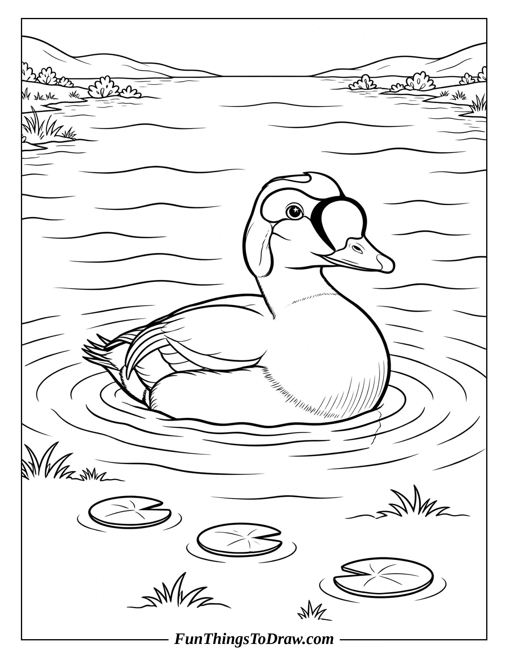 Elegant King Eider coloring page