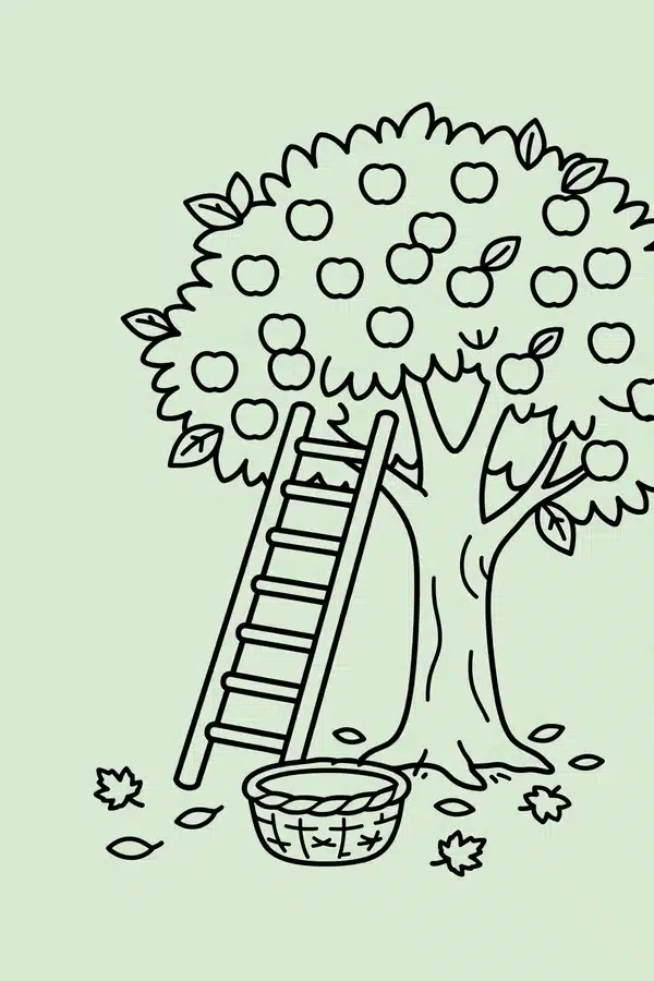 Orchard Ladder and Apples