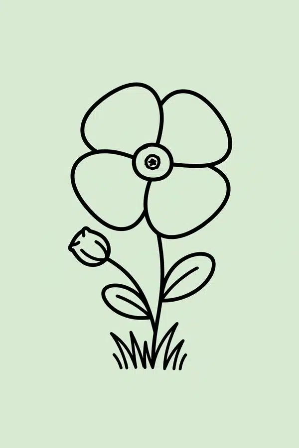 Red Poppy for Remembrance